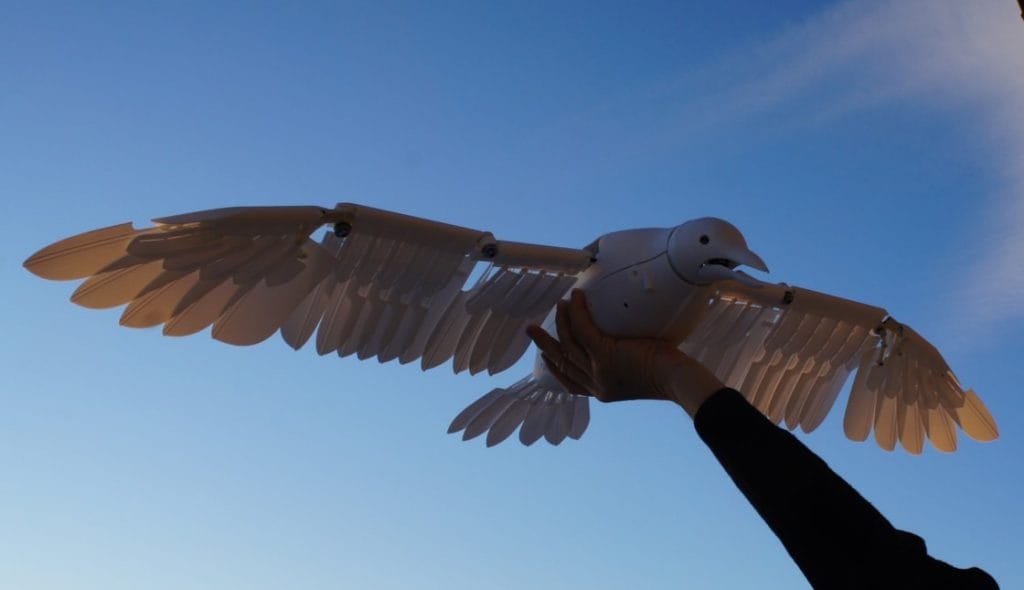 Drone startup Flygildi raises angel funding
