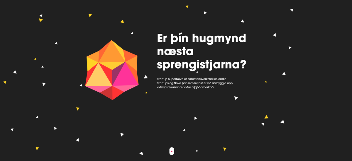10 Icelandic startups pitched their products at Startup Supernova investor day